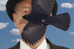 21-Man-with-Alpine-Chough