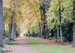 Avenue at Cliveden