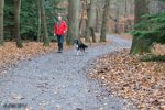 Man and Dog in Black Park