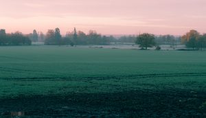 Pink Sunrise at Langley Park