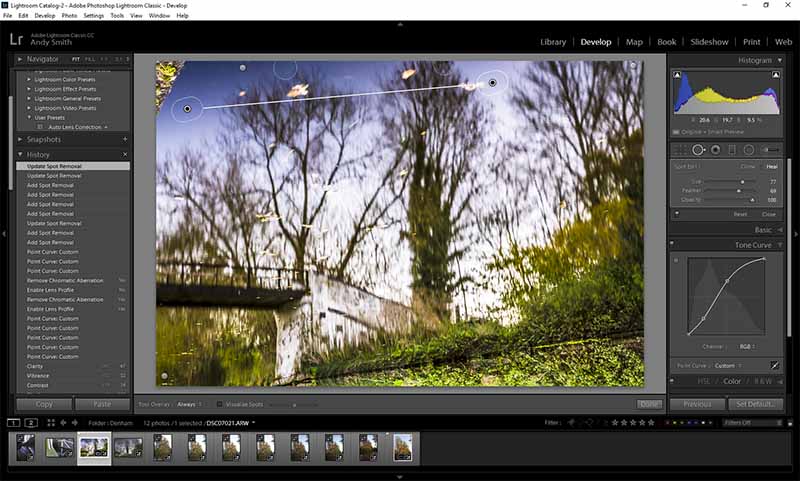Lightroom screenshot of toning panel and spot removal tool