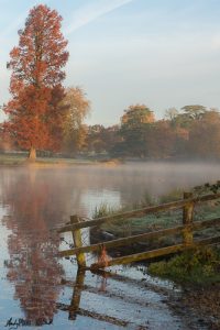 Fence in Lake