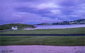  Purple Estuary shot at dawn