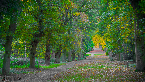 Pathwat at Cliveden