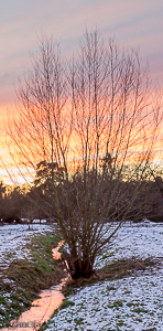 Sunset shot of brook