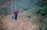 Autumnal scene of woman walking dog