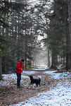 Man Dog and Snow Black Park