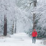 Man in Red Jacket in the Snow at Black Park