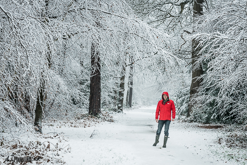 Man in red ski jacket in the snow