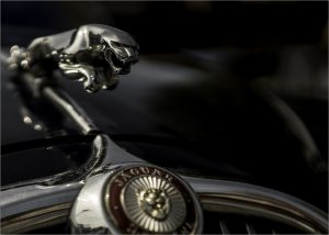 Jaguar Car Badge and Motif