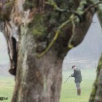 Gun in Field framed through tree