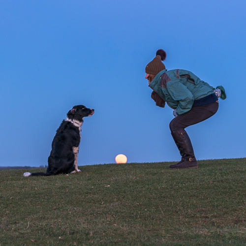 Woman, dog and supermoon