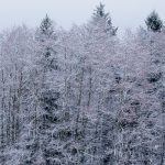 Man snow-walking through Les Houche