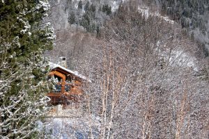 Chalet in Trees