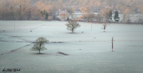 Frosty farm