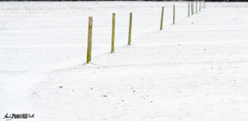 Minimalist snowy winter farm landscape