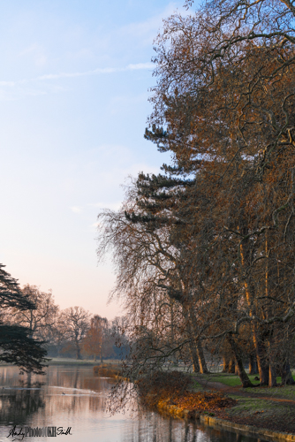 Lake at Sunrise