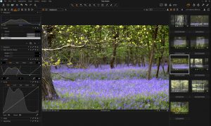 Capture One Pro Screenshot