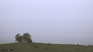 Split-tone tree outline on hill