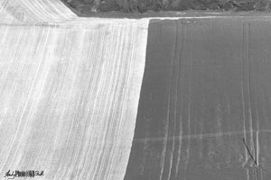 Black and white fields side by side with diagonal divide