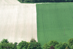 Green and white field shot from above