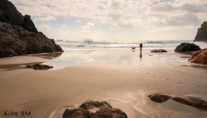 Silhouette of man and dog on shore in Kynance Cove