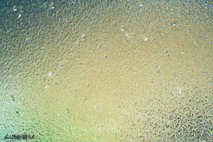 Frosted glass textured colour field