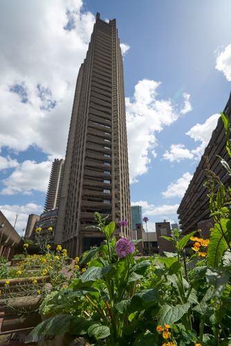 Hash architecture of the Barbican tower contrasted against the flowers in the garden foregroound