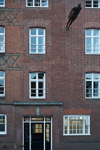 Self portrait sculpture three stories up perpendicular to the college building wall