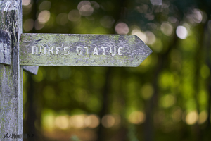 Signpost signalling direction of the Duke's Statue Cliveden