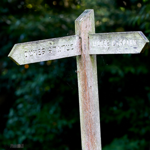 Signpost signalling way to the Duke's Statue Cliveden