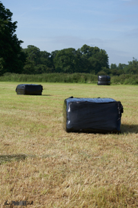 Black rectangular polythene wrapped hay bales in field