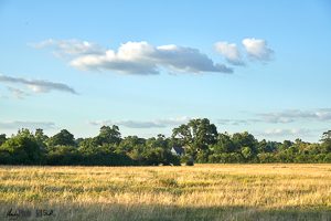 Sunset Hastings Meadow Stoke Poges Buckinghamshire