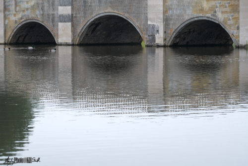 Bridge side, ducks and lake