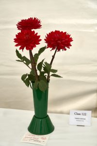 Trio of Dahlias in a vase