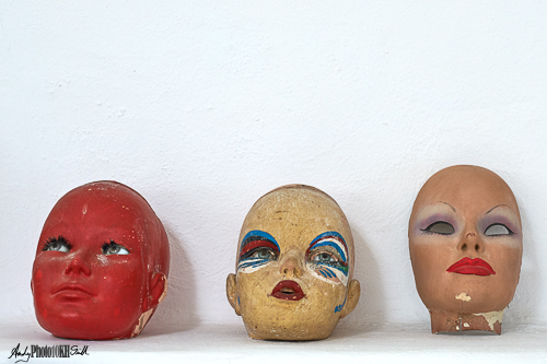 Still life from the studio of the Lanzarote artist Cesar Manrique
