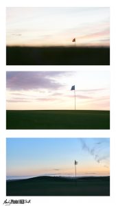 Triptych of golf greens at dawn on a windy morning