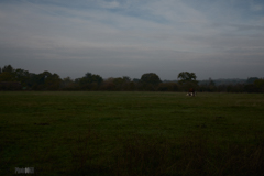 Shooting West 35mm at 9am November 2018