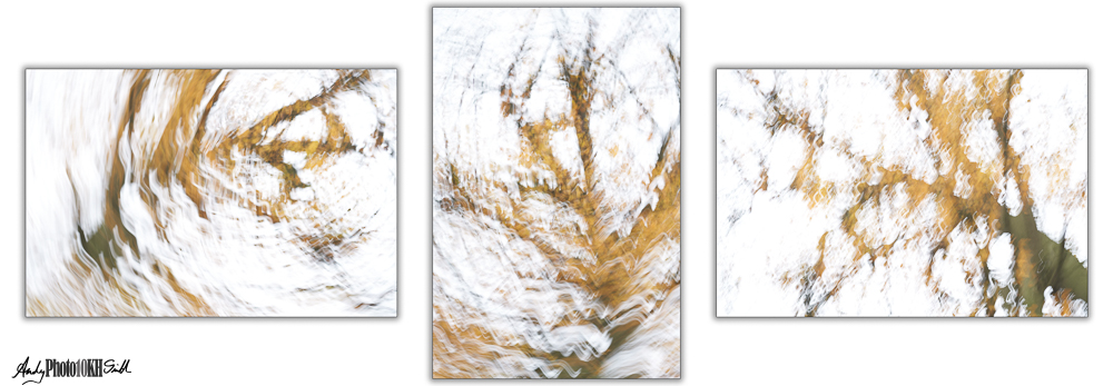 Triptych of exposures made early in the course