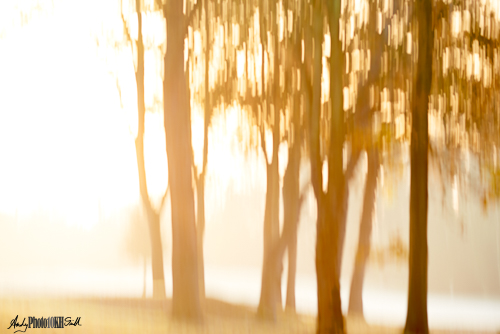 Contre Jour with ICM