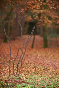 War memorial in outline against the auumnal trees Learning photography autumn