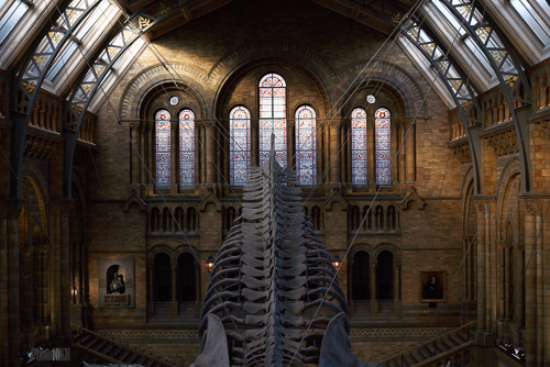 Natural history museum