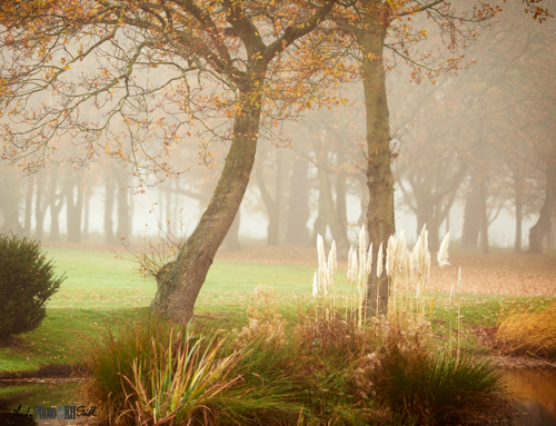 Small pond on golf course 10,000 Hours Deliberate Practice Learning Photographic Art