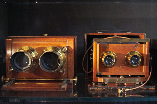 Old cameras in display case