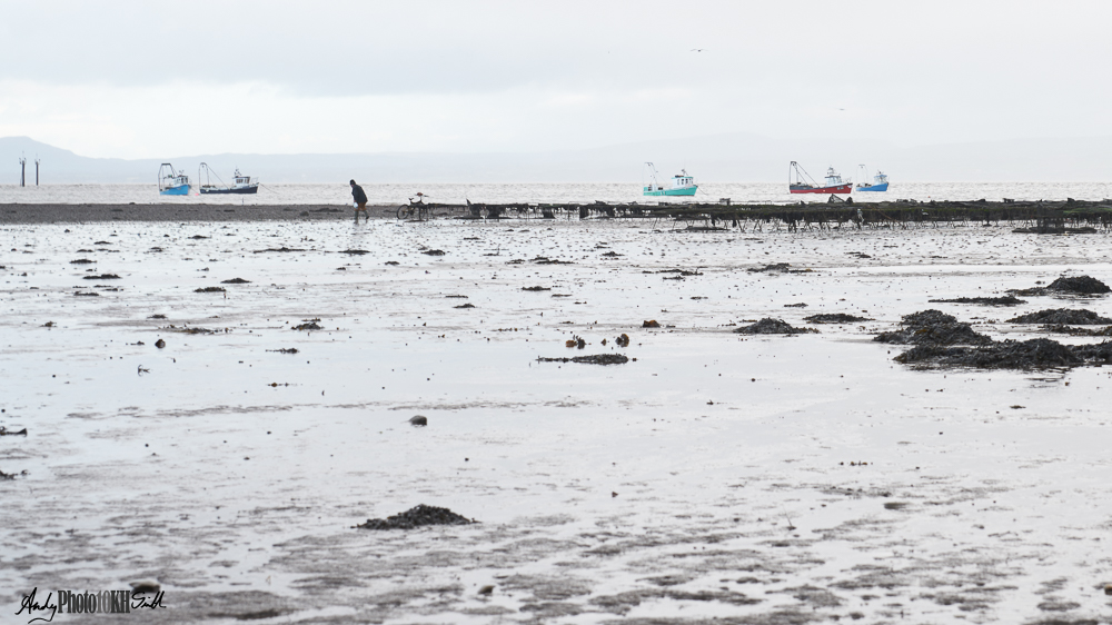 Barren mud flats and low tide coast