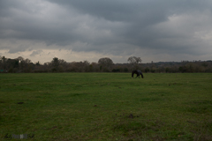 Shooting West 35mm at 12 Noon December 2018