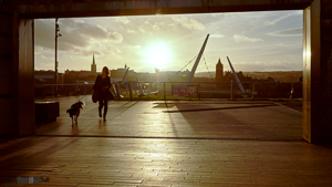 Urban landscape contre jour woman with dog in foreground, Peace bridge middle-ground, sunset over city background