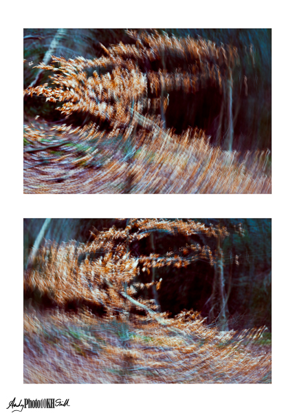 Pair of images shot with intentional camera movement different centres of twist