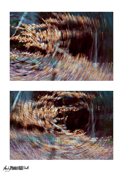 Pair of images shot with intentional camera movement different centres of twist