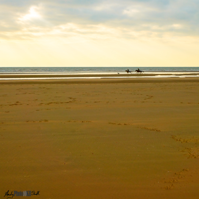 Two riders on horseback and a dog all running at the shore edge